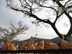 -树山生态村