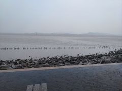 -深圳湾公园(南山区)