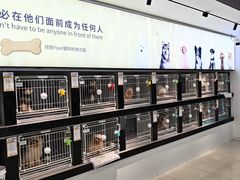 -翊宠yipet猫狗购宠庄园犬舍•猫舍