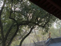 -法云安缦酒店