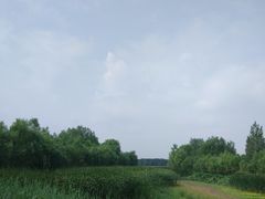 -蒲河岛湿地公园