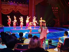 -珠海横琴长隆《卡卡虎奇遇记》