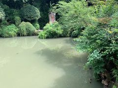 -杭州黄龙洞