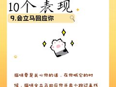 -荔康动物医院(康王北路店)