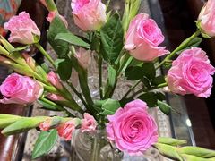 -六月花园咖啡馆(中关村东路店)