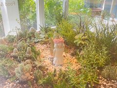 -春树下·树屋花房西餐厅(罍街AS1980店)