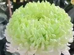 -天津市河西区金子小一一儿童军校幼儿园