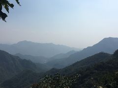 -大岭沟猕猴桃谷风景区
