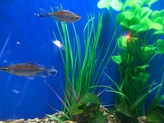 -华夏文旅海洋公园