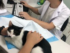 -可蒙动物医院·猫科·骨科中心(首义路店)