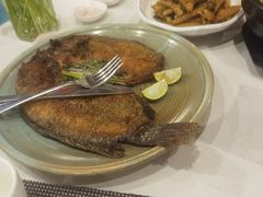 -滇越乘象云南餐厅(豆各庄店)
