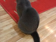 -壹人壹像工作室(购物公园店)