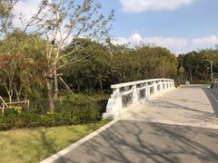 -昆山城市生态森林公园