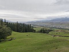 -新疆那拉提国家旅游度假区