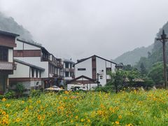 -雁荡山风景名胜区