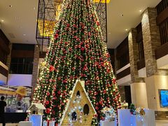 -三亚海棠湾喜来登度假酒店大堂吧