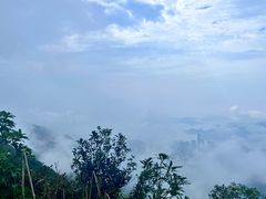 -梧桐山风景名胜区