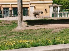 -哈尔滨北方森林动物园