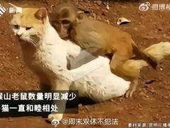 -昆明动物园