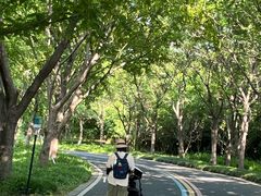 -同里国家湿地公园