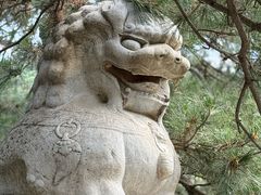 -潭柘寺景区