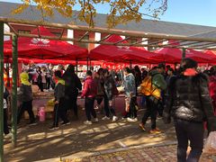 -辽宁大学(崇山校区)