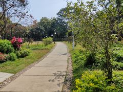 -荔香公园