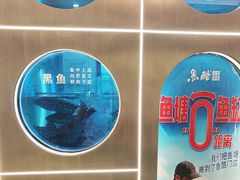 -鱼酷活鱼烤鱼(沈阳大悦城店)