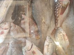 -农家私房菜(龙凤路店)