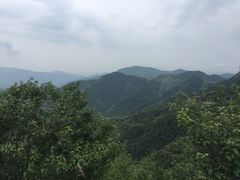 -四明山国家森林公园