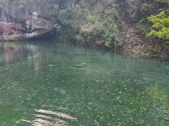 -雁荡山风景名胜区
