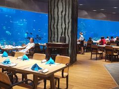 大堂-海棠湾洲际-涛·海底餐厅·美人鱼·自助餐·海底隧道