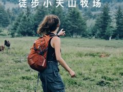 -张北坝上草原