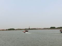 -大湾区中央湿地公园-十九涌