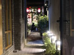 -Sirena海妖日咖夜酒