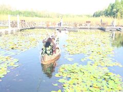 -溱湖国家湿地公园