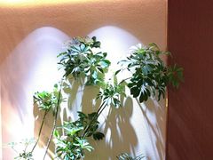 -奈雪的茶(石家庄万象城店)