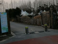 -上海长兴岛郊野公园