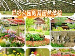 -世纪公园-世纪春沁园