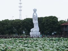 -荷塘月色湿地公园·向阳花洲