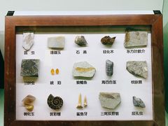 -辽宁古生物博物馆