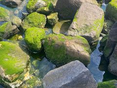 -烟台金沙滩海滨公园