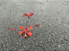 -晓港公园