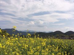 -神龙峡风景区