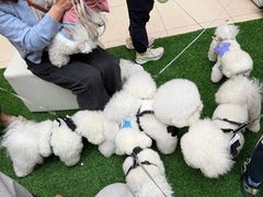 -仲盛世界商城