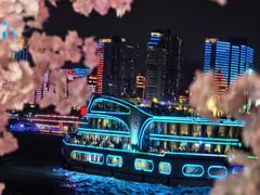 -武汉两江游览·夜游长江(汉口粤汉码头)