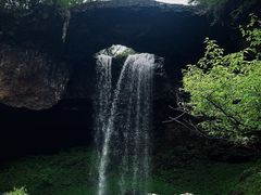 -龙苍沟森林公园