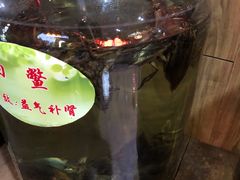 -昆虫窝子·特色云南菜(拓东路总店)