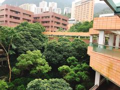 -香港大学