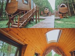 -黄海国家森林公园